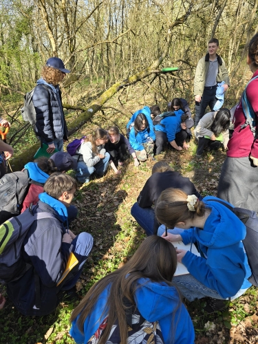 Ecologie forestière.jpeg